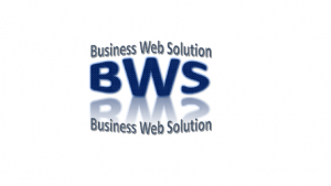 Business Website developers, web designer