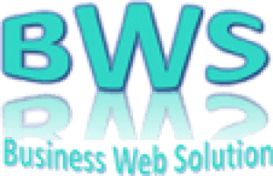 Business Web Solution, LOGO, SEO experts