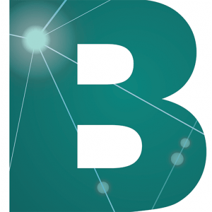 Business Web Solution-Favicon